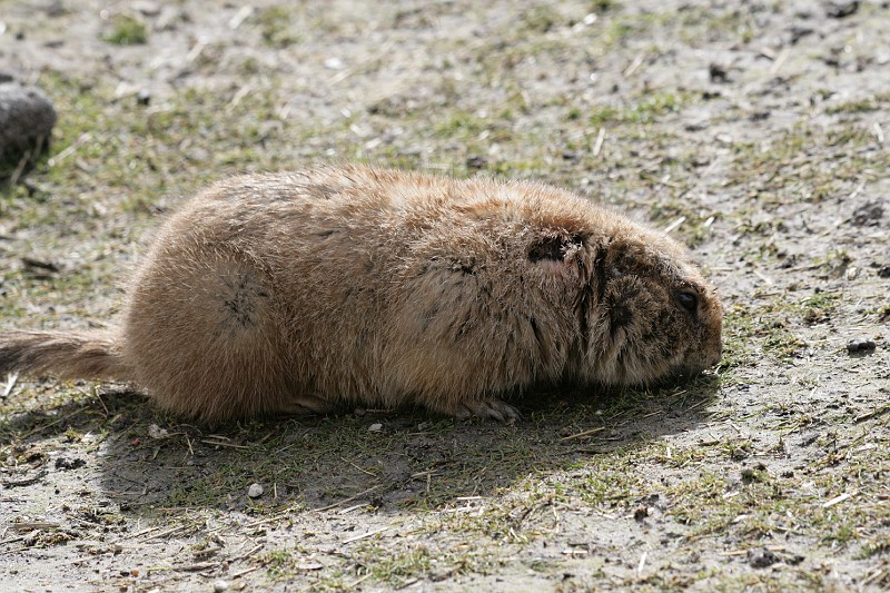 Fotoclubje Blijdorp 2008-8.jpg
